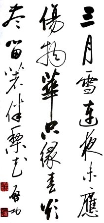 图片地址1
