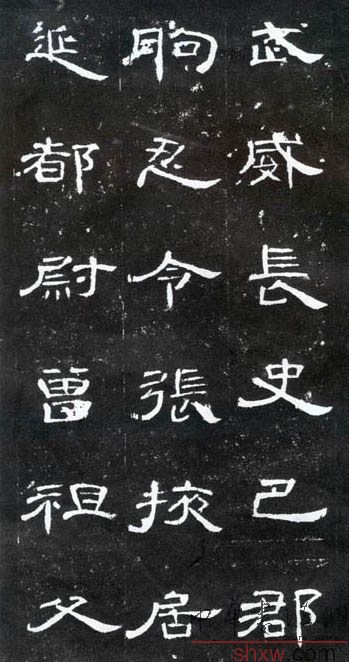 释文：武威长史巴郡朐忍令张掖居延都尉曾祖父