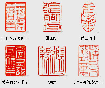 蔡毅强