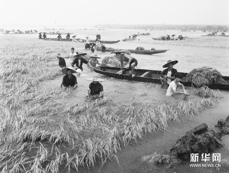 （社会）（4）著名摄影家吕厚民去世