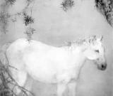 杨善深：善画动物无一不精