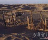 新疆和田策勒县发现古代于阗佛国遗存