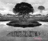 摄影收藏热到来