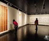 “真境界-叶华洲书法展”在南京开展 图