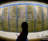 西湖博物馆推出历代杭州名仕书画展 图