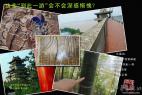 “到此一游”意义何在？追问那些令人惭愧的涂鸦