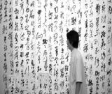 行草书法十家展
